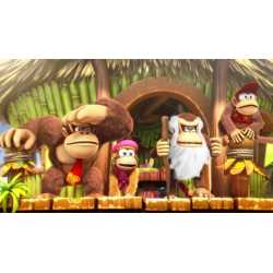 DONKEY KONG COUNTRY TROPICAL FREEZE SWITCH